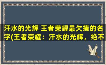 汗水的光辉 王者荣耀最欠揍的名字(王者荣耀：汗水的光辉，绝不能忍受的十大*名角色！)